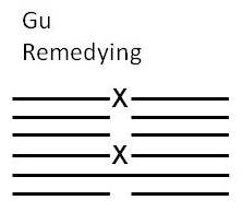 Gu-Remedying